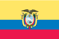 ecu_flag